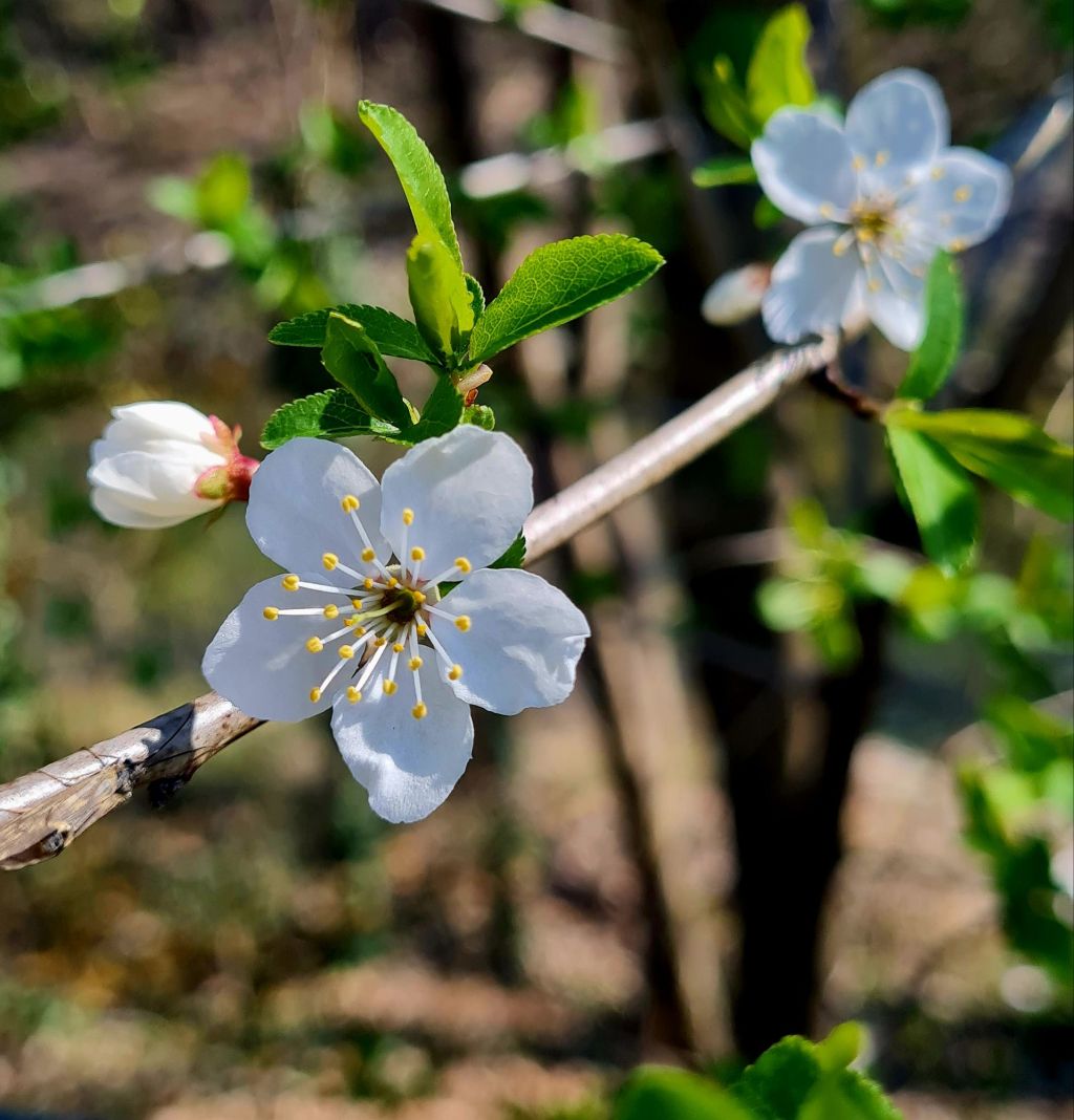 Sich selbst in der Natur zu erleben, ist eine&nbsp;Kunst