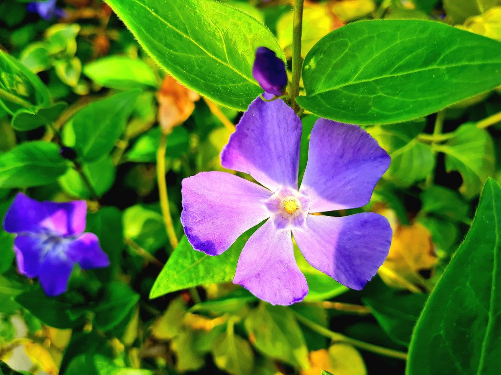 Glanz in der&nbsp;Dunkelheit