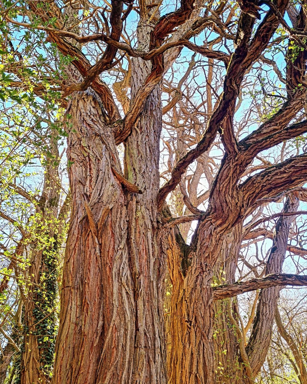 Triumph der Zusammenarbeit