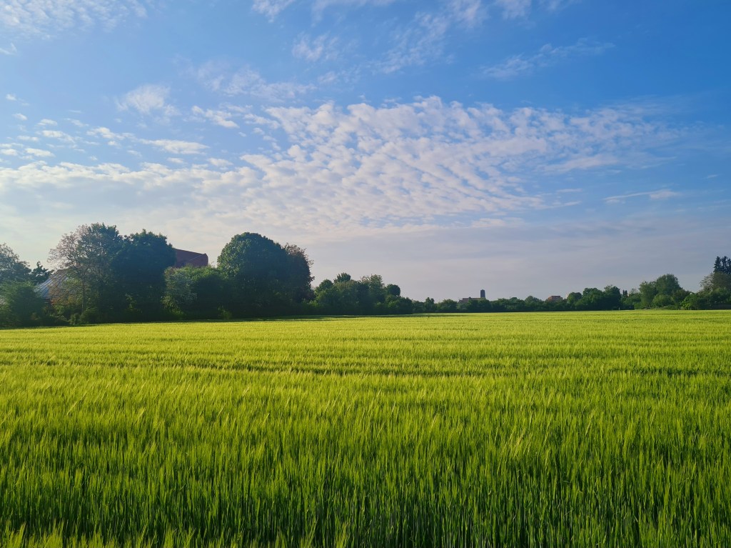 Innehalten im Moment