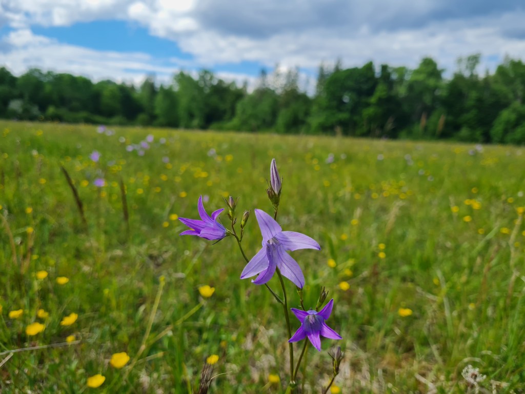 Ein Teil des&nbsp;Ganzen