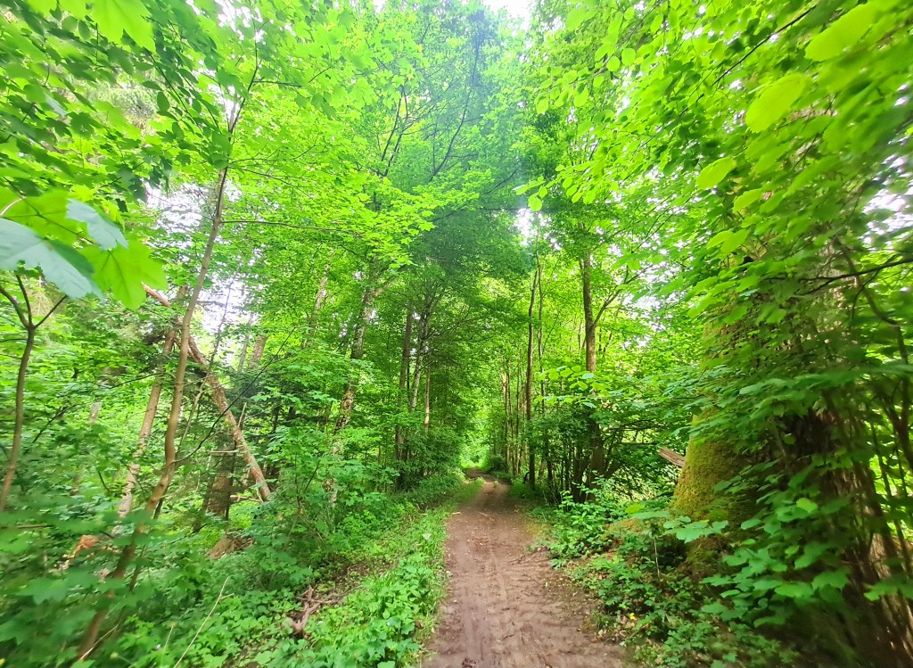 Back to the&nbsp;roots