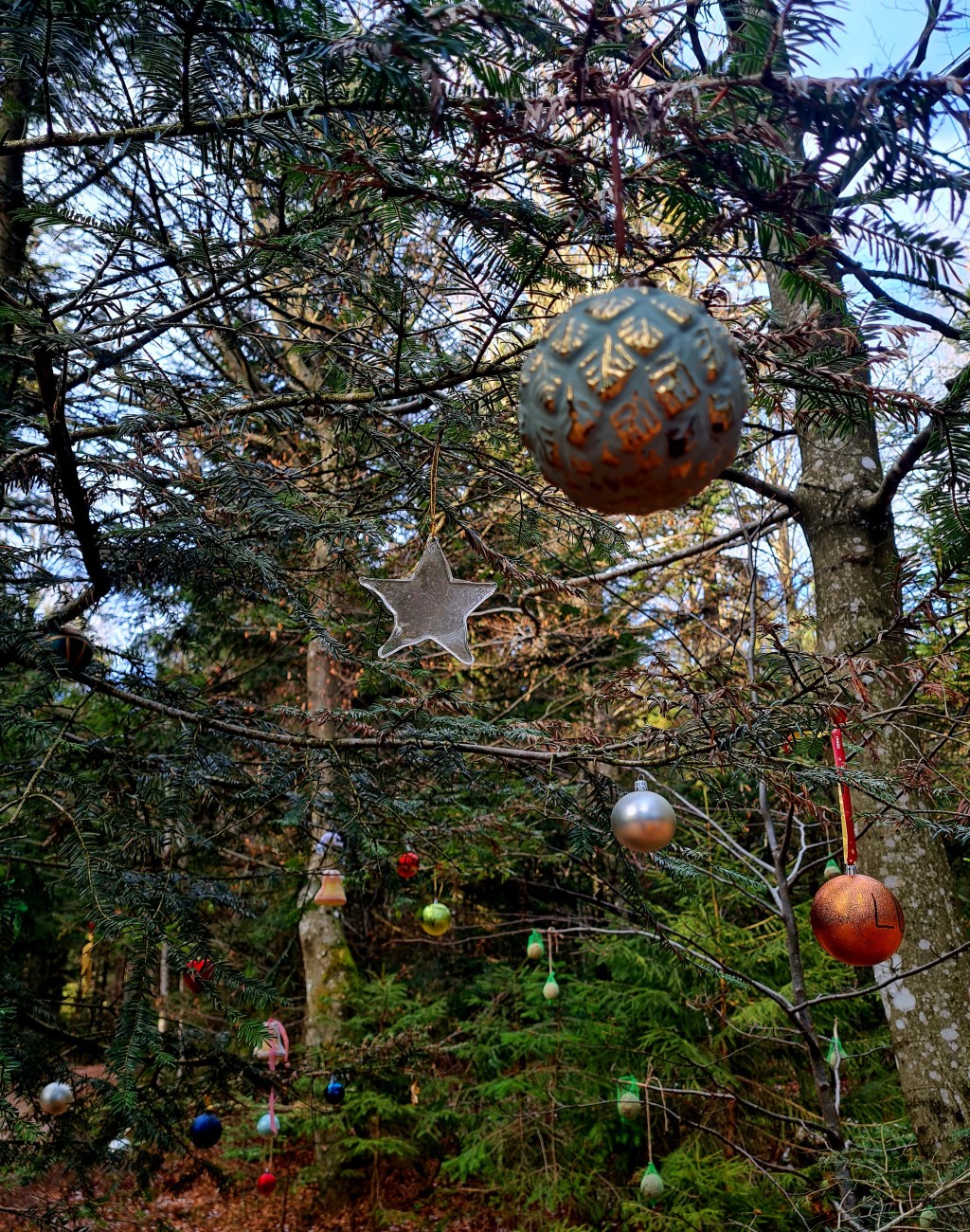 Fröhliche Weihnachten! 🌲