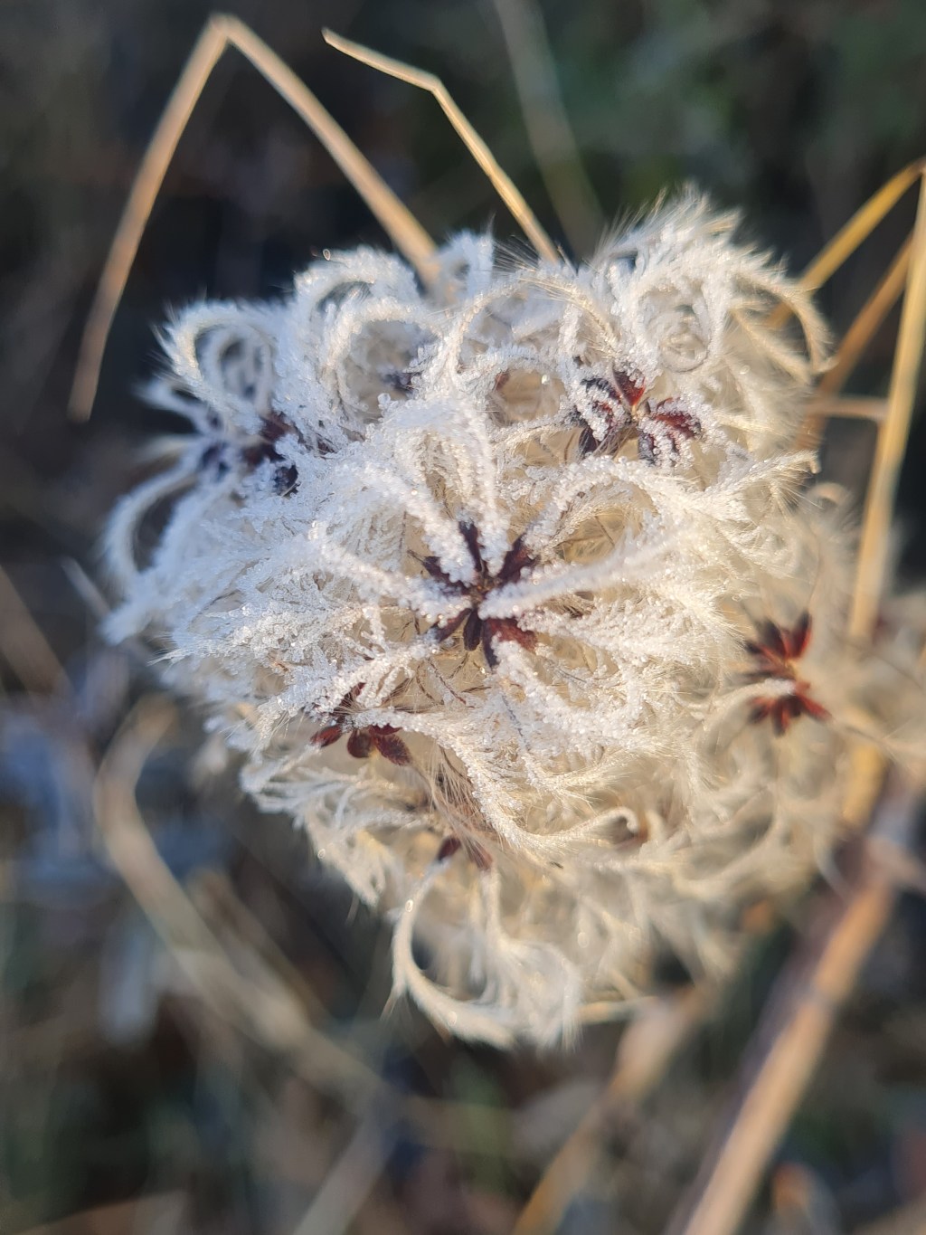 Winterende in Sicht?